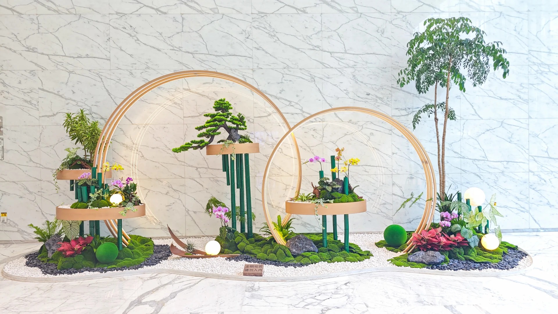 专业花木出租，宁波北仑的绿色新选择